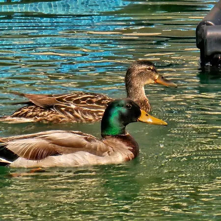 Apartahotel Diamond Sarafovo By Kp Burgas