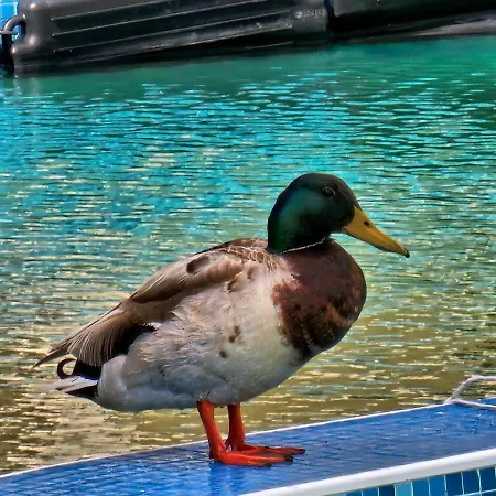 Hotel de apartamente Diamond Sarafovo By Kp Burgas City