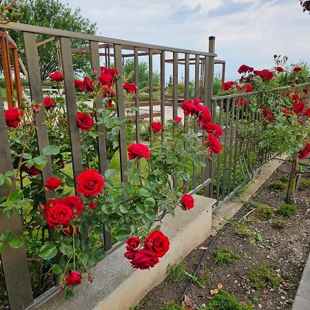 Apartmanhotel Diamond Sarafovo By Kp