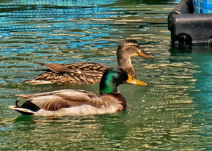 Aparthotel Diamond Sarafovo By Kp Burgas City