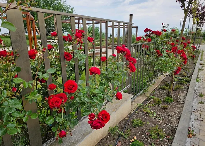 Aparthotel Diamond Sarafovo By Kp