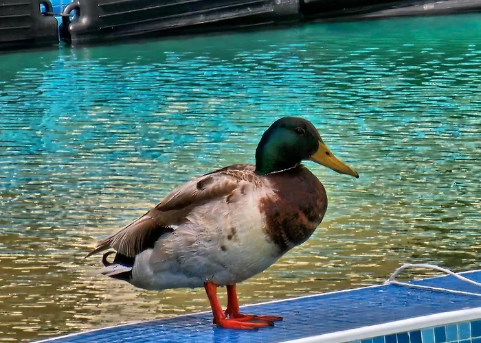 Aparthotel Diamond Sarafovo By Kp Burgas City